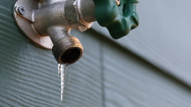 Best Gas Line Repair  in Pulaski, TN